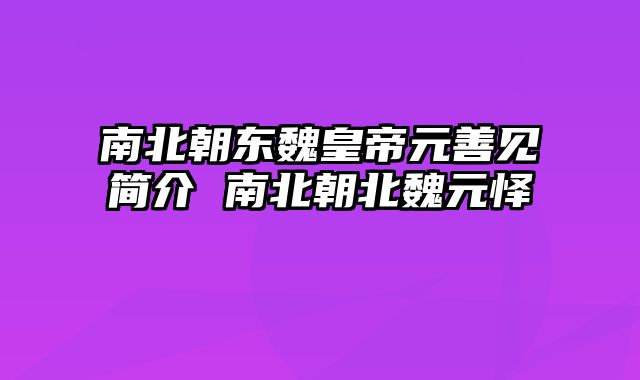 南北朝东魏皇帝元善见简介 南北朝北魏元怿