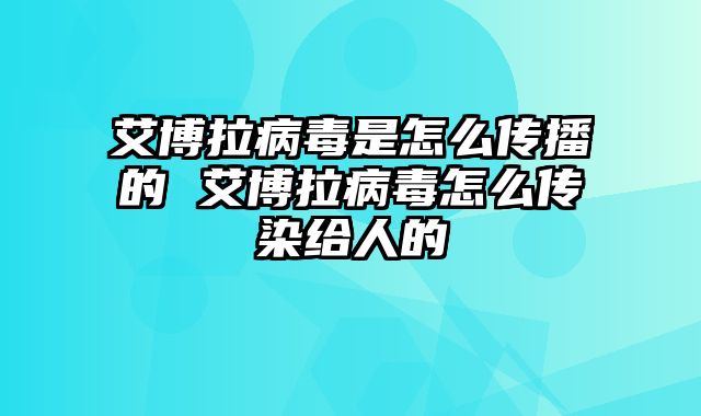 艾博拉病毒是怎么传播的 艾博拉病毒怎么传染给人的