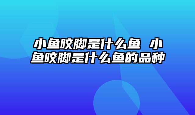 小鱼咬脚是什么鱼 小鱼咬脚是什么鱼的品种