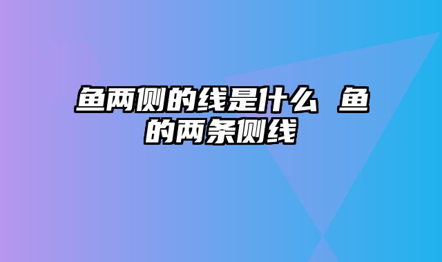 鱼两侧的线是什么 鱼的两条侧线