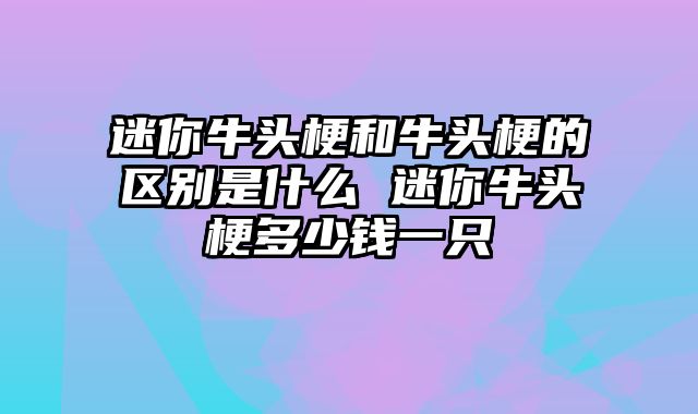 迷你牛头梗和牛头梗的区别是什么 迷你牛头梗多少钱一只