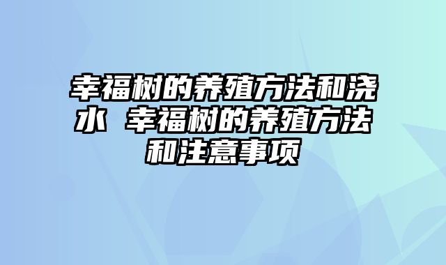幸福树的养殖方法和浇水 幸福树的养殖方法和注意事项