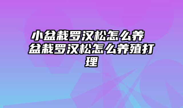 小盆栽罗汉松怎么养 盆栽罗汉松怎么养殖打理