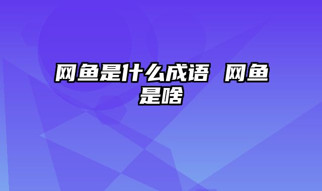 网鱼是什么成语 网鱼是啥