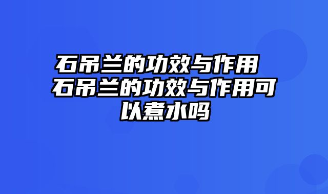 石吊兰的功效与作用 石吊兰的功效与作用可以煮水吗