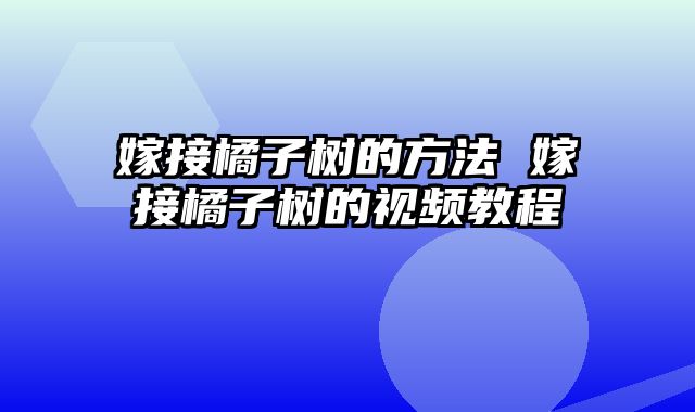 嫁接橘子树的方法 嫁接橘子树的视频教程