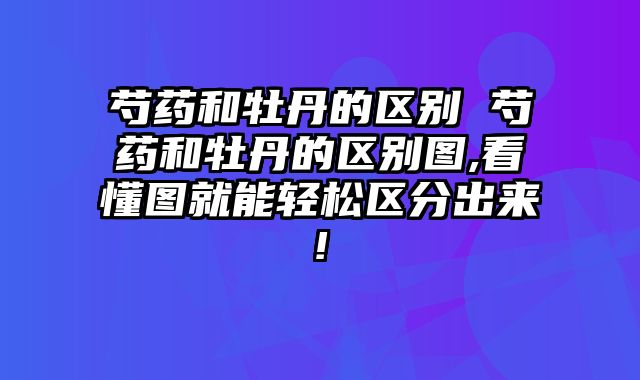 芍药和牡丹的区别 芍药和牡丹的区别图,看懂图就能轻松区分出来!