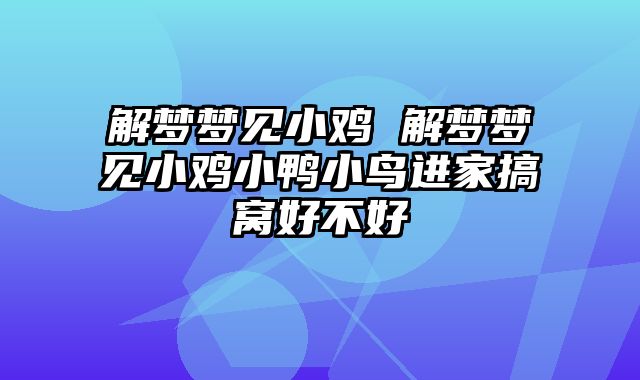解梦梦见小鸡 解梦梦见小鸡小鸭小鸟进家搞窝好不好