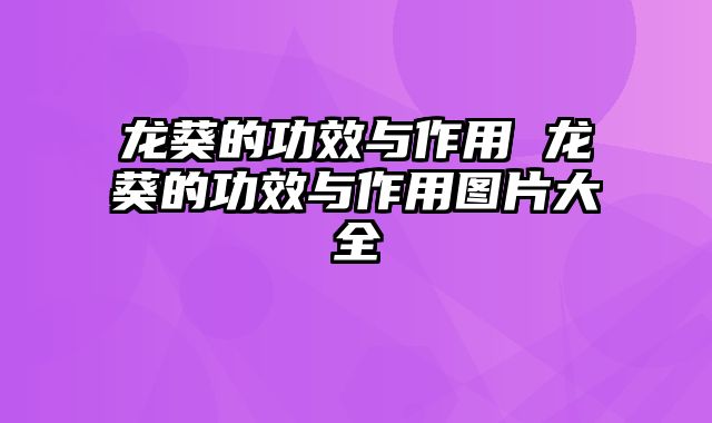 龙葵的功效与作用 龙葵的功效与作用图片大全