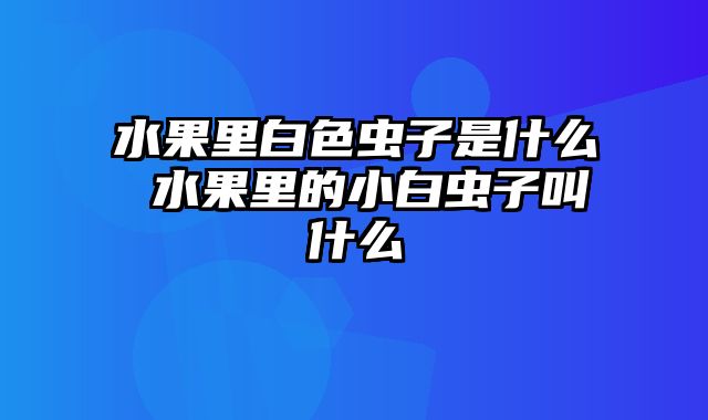 水果里白色虫子是什么 水果里的小白虫子叫什么