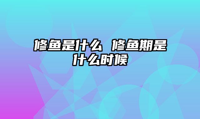 修鱼是什么 修鱼期是什么时候
