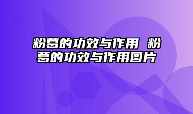 粉葛的功效与作用 粉葛的功效与作用图片