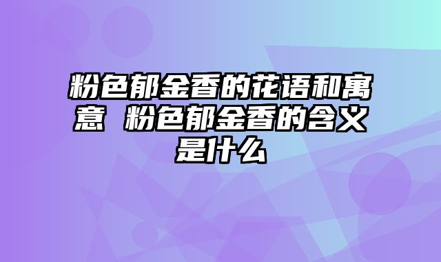 粉色郁金香的花语和寓意 粉色郁金香的含义是什么