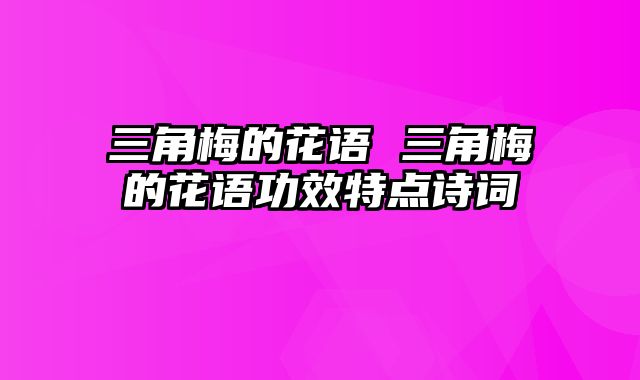三角梅的花语 三角梅的花语功效特点诗词