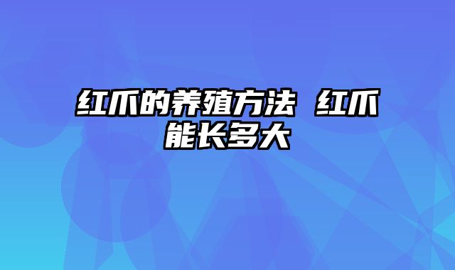 红爪的养殖方法 红爪能长多大