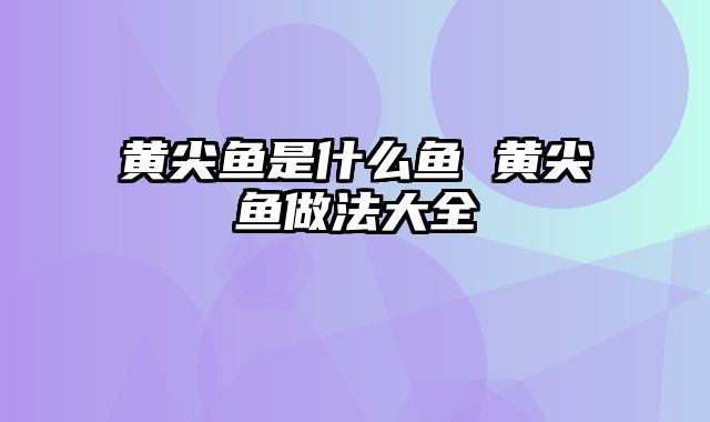 黄尖鱼是什么鱼 黄尖鱼做法大全
