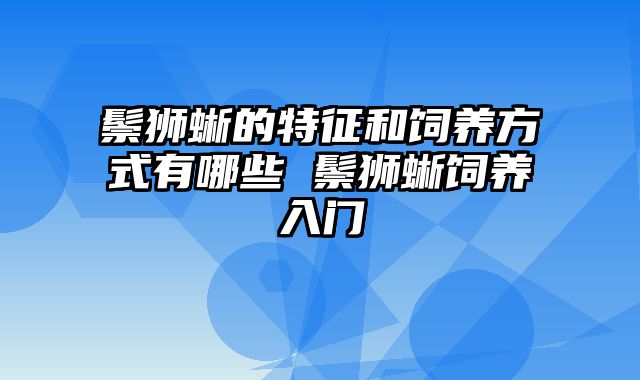 鬃狮蜥的特征和饲养方式有哪些 鬃狮蜥饲养入门