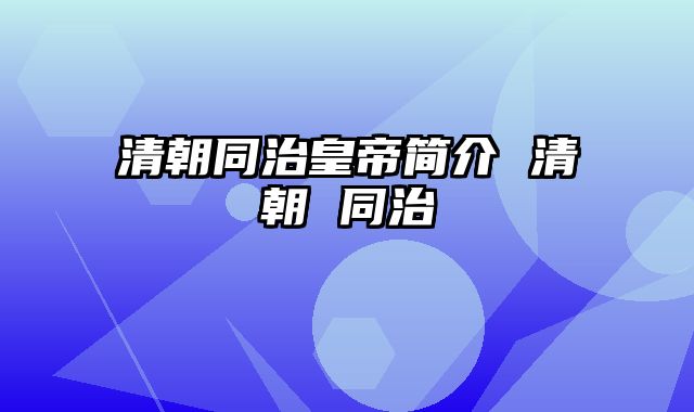 清朝同治皇帝简介 清朝 同治
