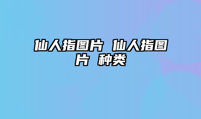 仙人指图片 仙人指图片 种类