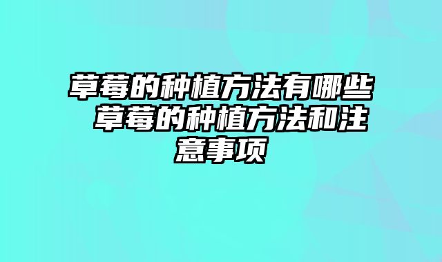 草莓的种植方法有哪些 草莓的种植方法和注意事项