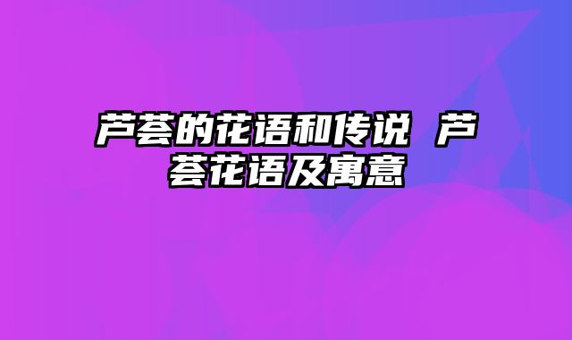 芦荟的花语和传说 芦荟花语及寓意