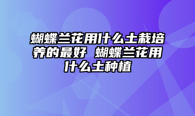 蝴蝶兰花用什么土栽培养的最好 蝴蝶兰花用什么土种植