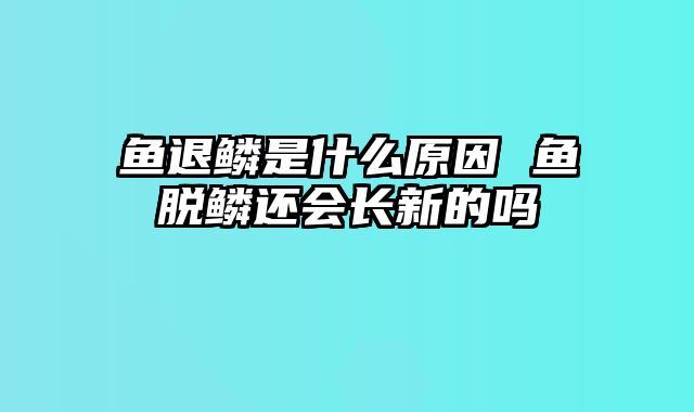 鱼退鳞是什么原因 鱼脱鳞还会长新的吗