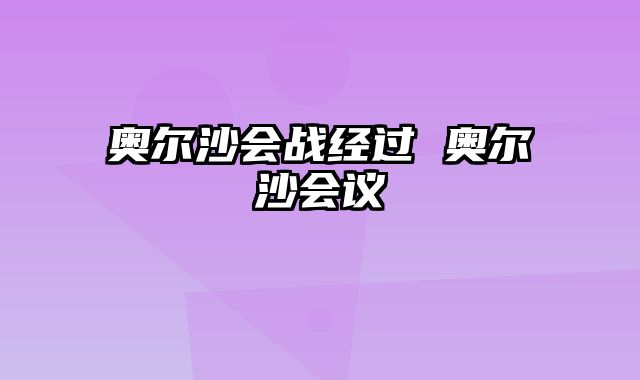 奥尔沙会战经过 奥尔沙会议