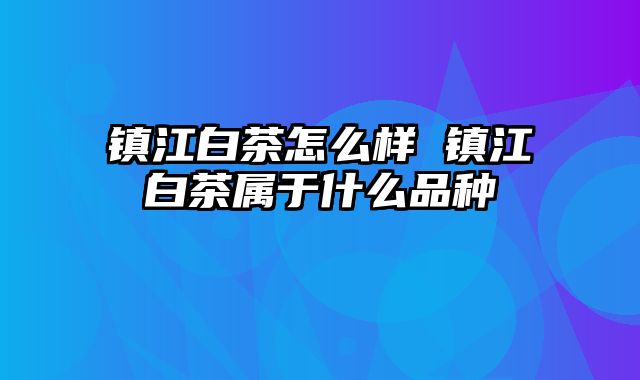 镇江白茶怎么样 镇江白茶属于什么品种