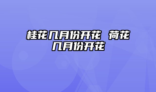 桂花几月份开花 荷花几月份开花