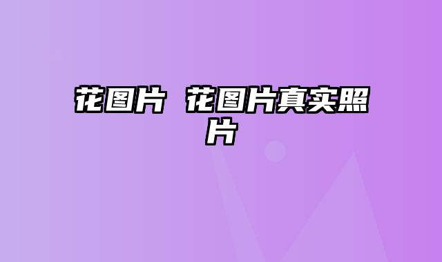 花图片 花图片真实照片