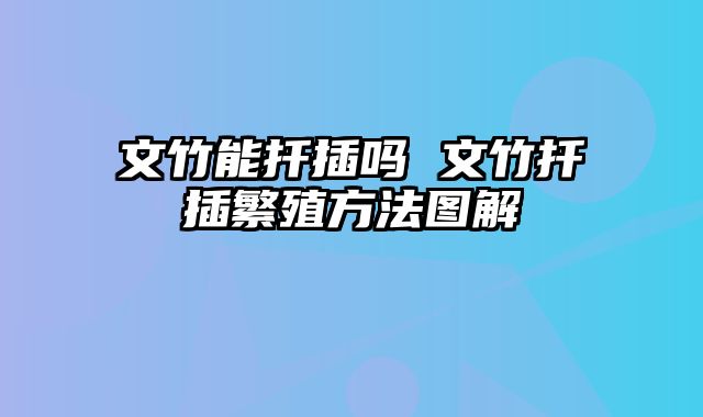 文竹能扦插吗 文竹扦插繁殖方法图解