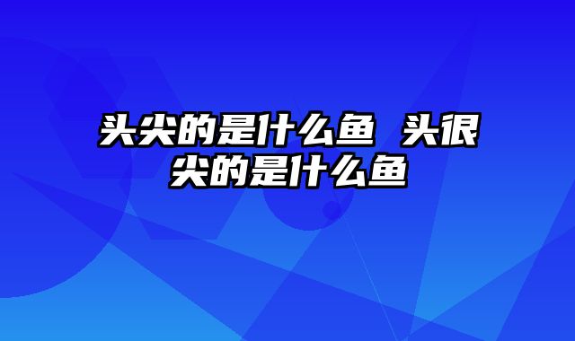 头尖的是什么鱼 头很尖的是什么鱼