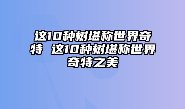 这10种树堪称世界奇特 这10种树堪称世界奇特之美 