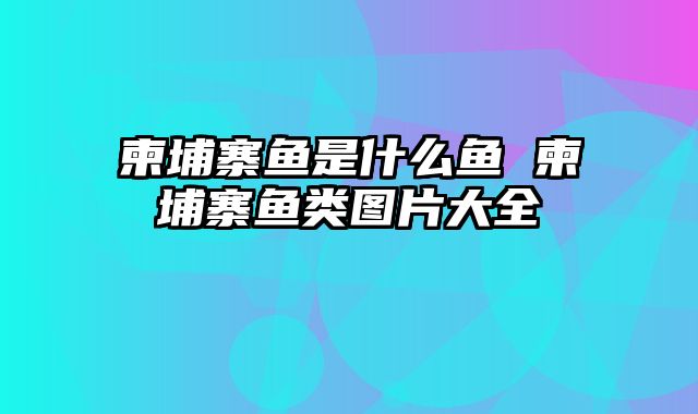 柬埔寨鱼是什么鱼 柬埔寨鱼类图片大全