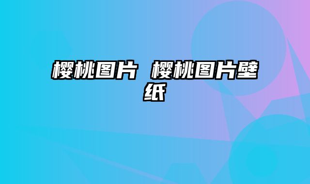 樱桃图片 樱桃图片壁纸