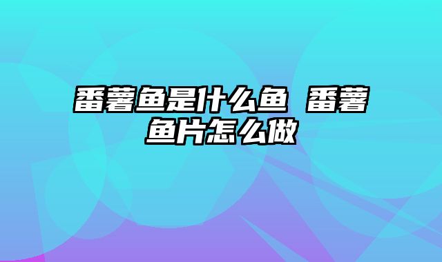 番薯鱼是什么鱼 番薯鱼片怎么做