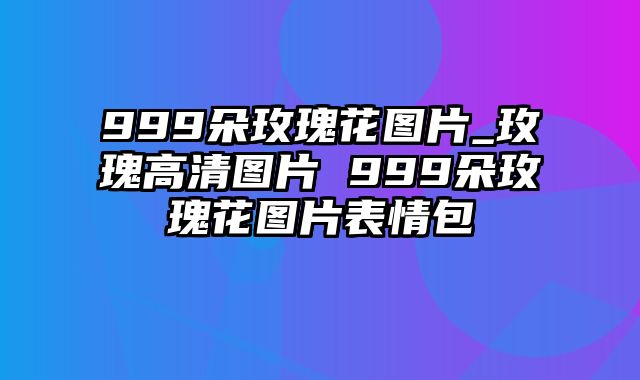 999朵玫瑰花图片_玫瑰高清图片 999朵玫瑰花图片表情包