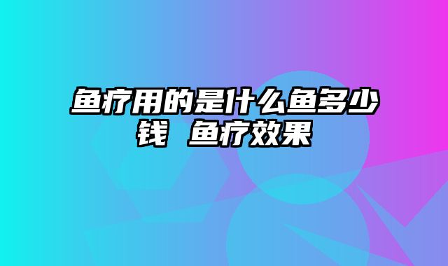 鱼疗用的是什么鱼多少钱 鱼疗效果