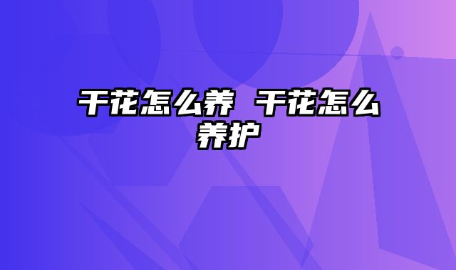 干花怎么养 干花怎么养护