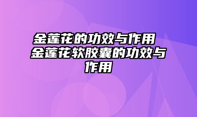 金莲花的功效与作用 金莲花软胶囊的功效与作用