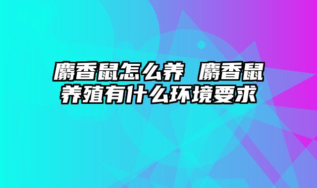 麝香鼠怎么养 麝香鼠养殖有什么环境要求