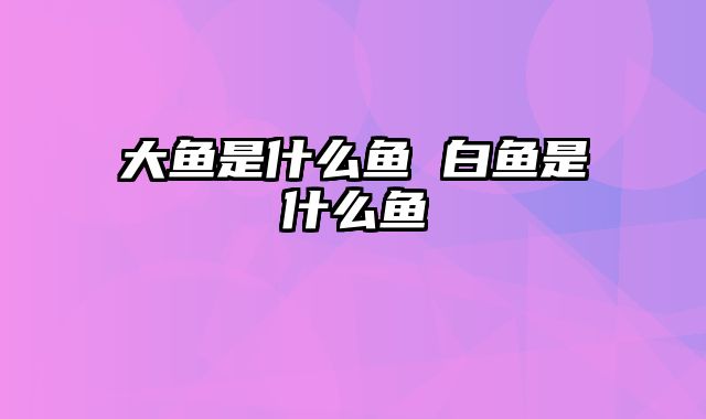 大鱼是什么鱼 白鱼是什么鱼