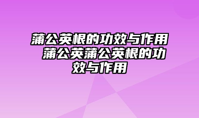 蒲公英根的功效与作用 蒲公英蒲公英根的功效与作用
