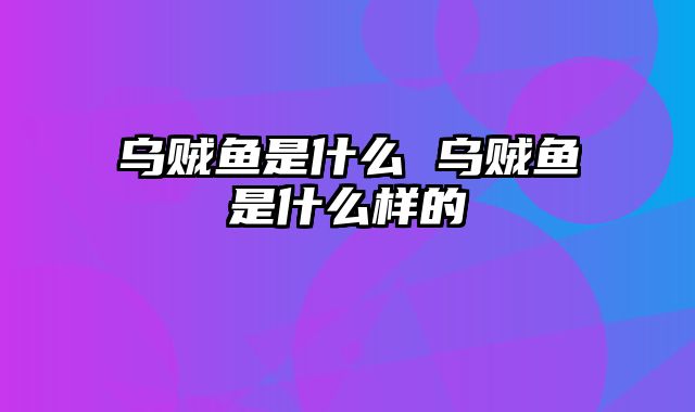 乌贼鱼是什么 乌贼鱼是什么样的