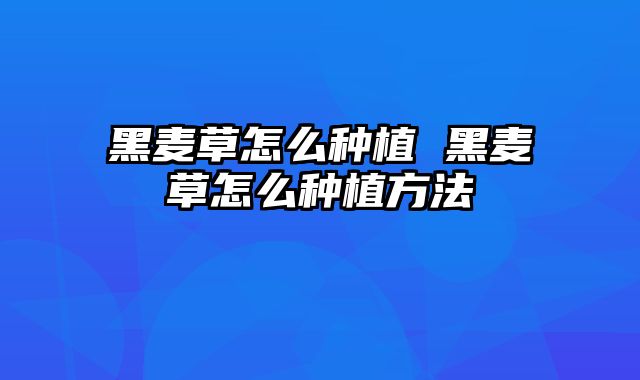 黑麦草怎么种植 黑麦草怎么种植方法