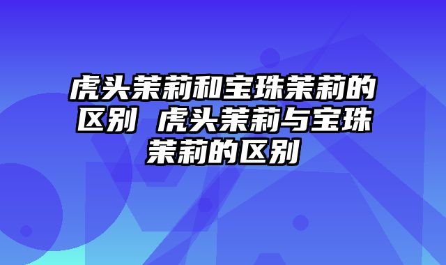 虎头茉莉和宝珠茉莉的区别 虎头茉莉与宝珠茉莉的区别