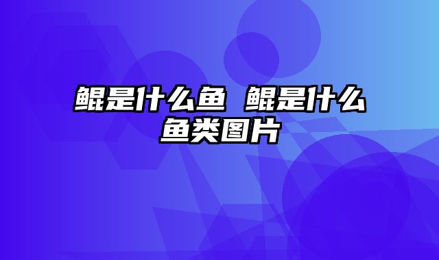 鲲是什么鱼 鲲是什么鱼类图片