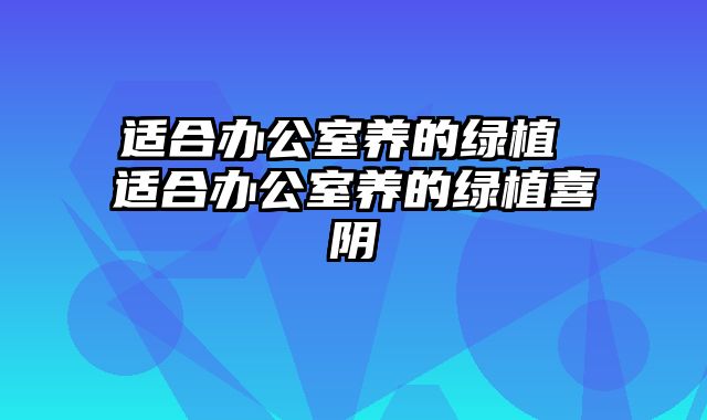 适合办公室养的绿植 适合办公室养的绿植喜阴