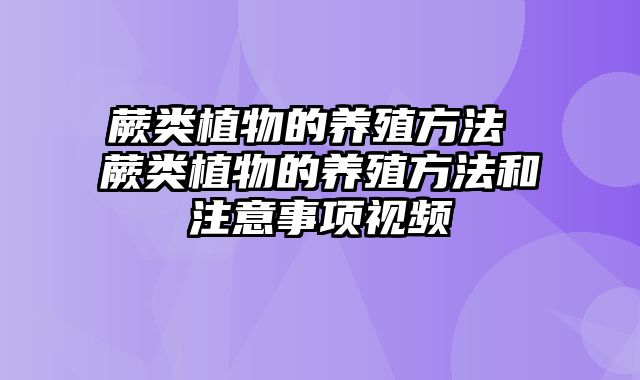 蕨类植物的养殖方法 蕨类植物的养殖方法和注意事项视频